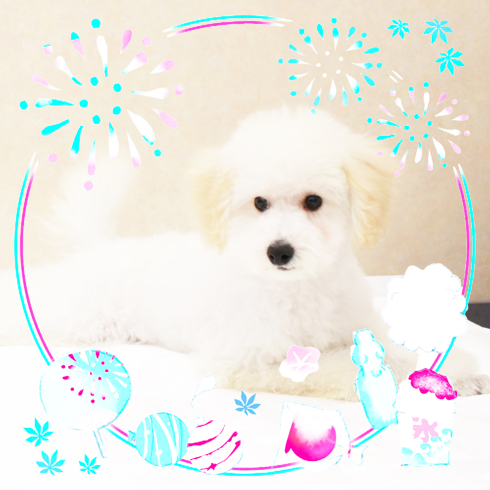 ８月で１歳になりました☆